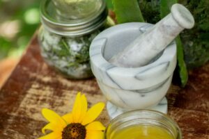 herbs salves in jars with aloe vera flowers