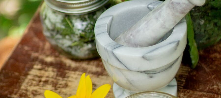 herbs salves in jars with aloe vera flowers