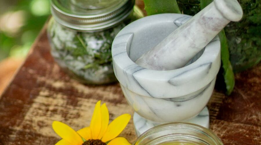 herbs salves in jars with aloe vera flowers