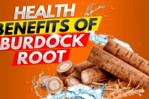 How Burdock Root (Arctium Lappa) Revitalizes Your Body! Supercharge Your Detox