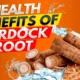 7 Surprising Health Benefits of Burdock Root You Need to Know