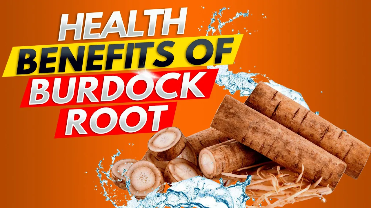 How Burdock Root (Arctium Lappa) Revitalizes Your Body! Supercharge Your Detox