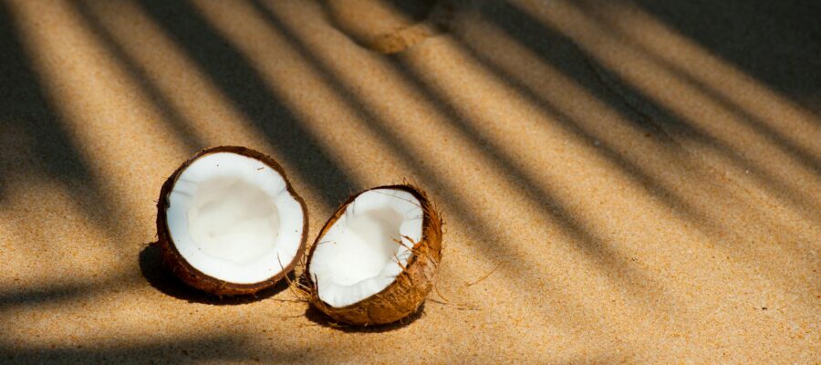 opened coconut on sands