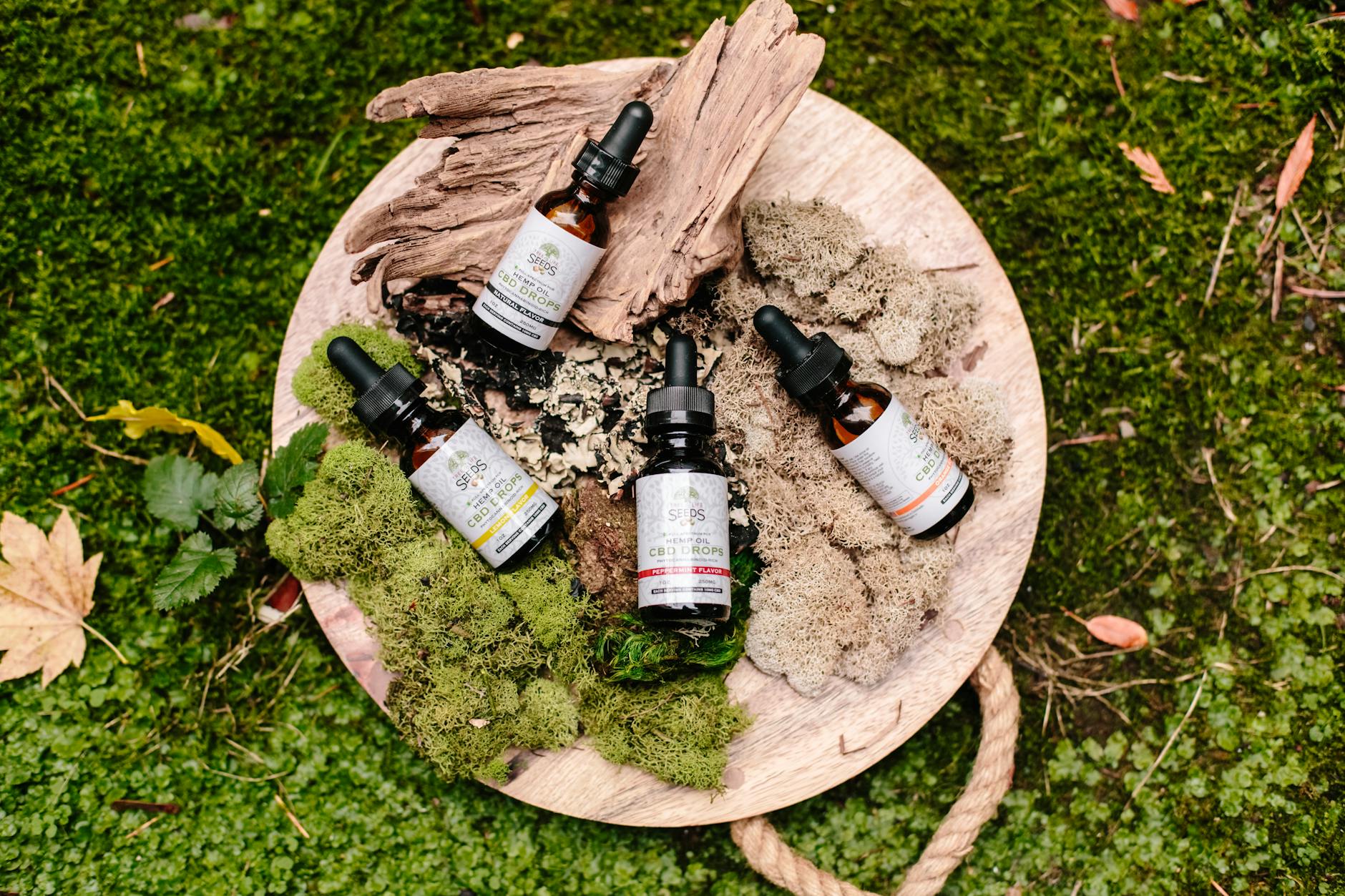 medicine bottles on green and brown moss