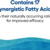 Natural Factors, Wild Alaskan Salmon Oil Provides Omega-3, EPA, DHA & Vitamin D, Supports Brain…
