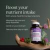 New Chapter Women’s Multivitamin 40 Plus for Energy, Healthy Aging + Immune Support with 20+ Nutrients — Every Woman’s One Daily 40+, Gentle on the Stomach, 96 Count