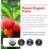 Organic Vitamin C | Whole Food Vitamin C from Fruit Plus Absorption Enhancing Cofactors – Vegan,…