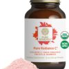Pure Synergy Pure Radiance C | Organic Vitamin C Powder | 100% Natural, Whole Food, Non-GMO...