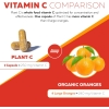 Organic Vitamin C | Whole Food Vitamin C from Fruit Plus Absorption Enhancing Cofactors – Vegan,…