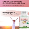 Organic Vitamin C from Camu Camu Capsules 1,000mg, Packed with Natural VIT C, Raw Antioxidants -…