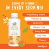 MaryRuth Organics Liposomal Vitamin C | Immune Support Supplement | Megadose Vitamin C…