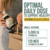 Organic Plant D3 + K2 | 5000 iu D3 + 120 mcg K2 as All-Trans MK7 from MenaQ7 – 100% Whole Food, Raw & Vegan | Enhanced Digestion with Prebiotic & Superfood Complex  D3 from Organic Algae (60 Count)