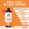 MaryRuth Organics Liquid Multivitamin + Lustriva Hair Growth for Women| Biotin 10000mcg | Vitamin B & D | Clinically Tested for Thicker Hair, Wrinkles, Fine Lines, Skin Care | Ages 18+ | 30 Fl Oz