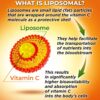 Liposomal Vitamin C Capsules – 1500mg – Made with Organic Acerola Cherries & Camu Camu, High…