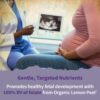 Garden of Life Organics Prenatal Vitamin: Folate for Energy & Healthy Fetal Development, Non-constipating Iron, Vitamin C, B6, B12, D3  Organic, Non-GMO, Gluten-Free, Vegan, 30 Day Supply