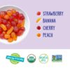 YumEarth Organic Fruit Snacks Box, 0.7 Ounce (Pack of 10)