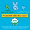 Annie’s Organic Fruit Tape, Easter Basket Stuffers, Swirly Strawberry and Bendy Berry Flavors,…