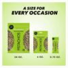 Wonderful Pistachios No Shells, Roasted & Salted Nuts, 0.75 Ounce Bag (Pack of 9), Protein…