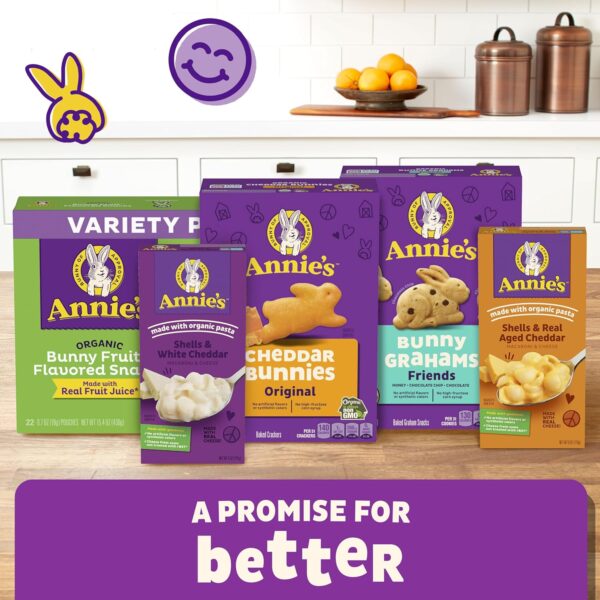 Annie’s Organic Bees, Bugs, and Butterflies Fruit Flavored Snacks, Easter Basket Stuffers, 10…