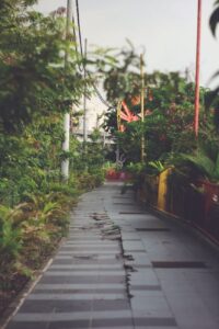 brown concrete road