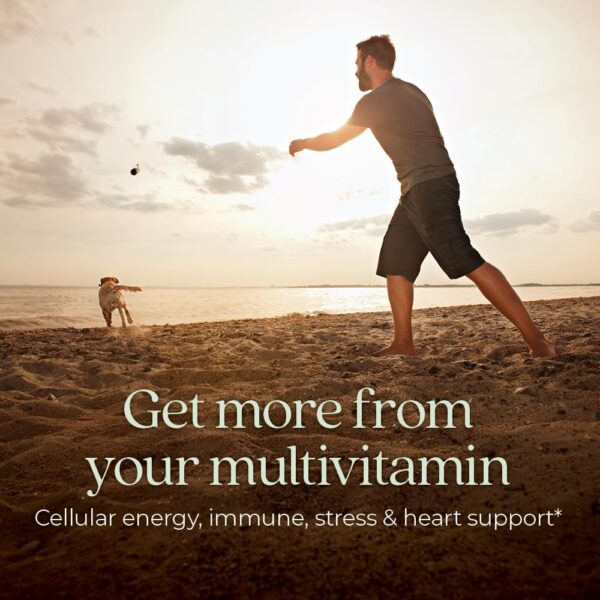 New Chapter Men’s Multivitamin for Immune, Stress, Heart + Energy Support with Fermented…