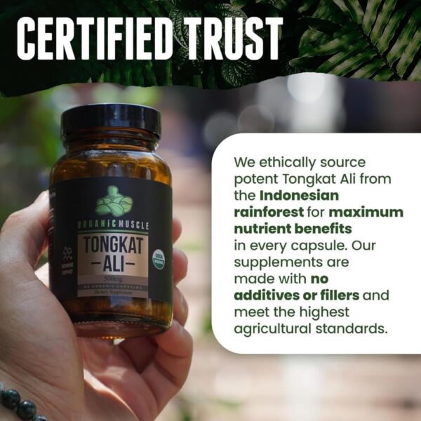 Organic Muscle Tongkat Ali for Men, 500mg – Pure & Potent USDA Eurycoma Longifolia Root…