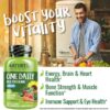 NATURELO Mens Multivitamins – One Daily Multivitamin for Men with Vitamins, Minerals & Organic…