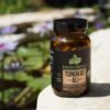 Organic Muscle Tongkat Ali for Men, 500mg – Pure & Potent USDA Eurycoma Longifolia Root…