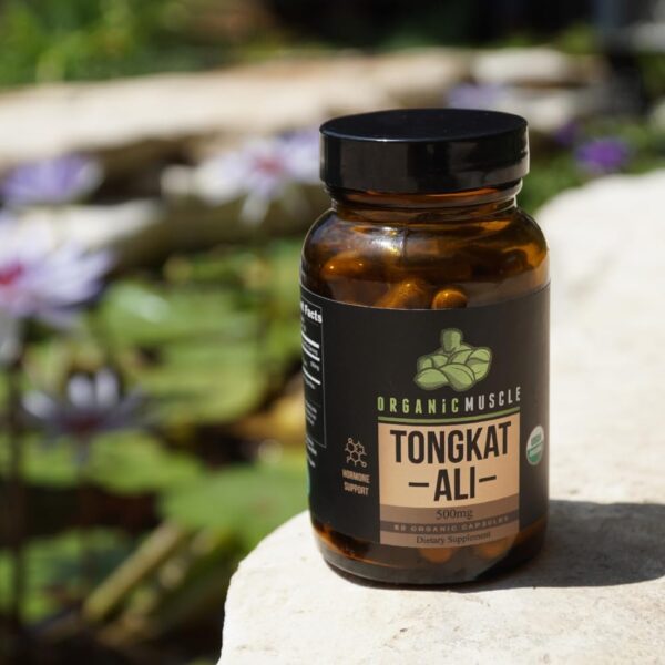 Organic Muscle Tongkat Ali for Men, 500mg – Pure & Potent USDA Eurycoma Longifolia Root…