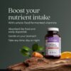 New Chapter Men’s Multivitamin for Immune, Stress, Heart + Energy Support with Fermented…