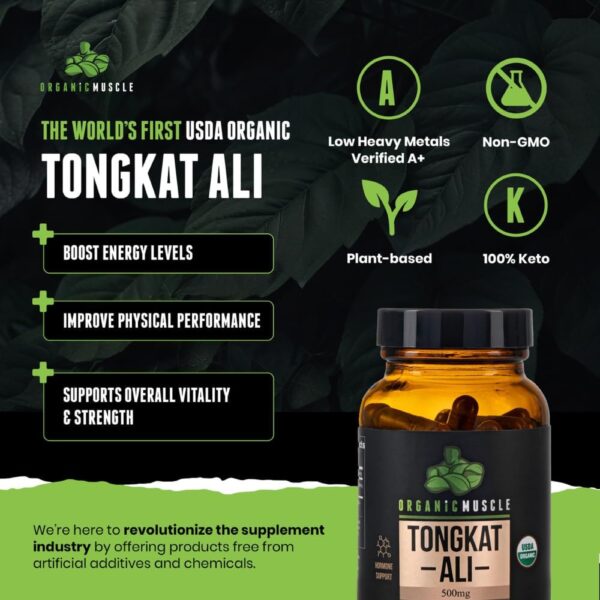 Organic Muscle Tongkat Ali for Men, 500mg – Pure & Potent USDA Eurycoma Longifolia Root…
