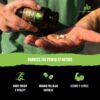 Organic Muscle Tongkat Ali for Men, 500mg – Pure & Potent USDA Eurycoma Longifolia Root…