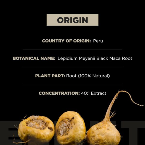 ELMNT 40,000mg 40x Strength Organic Black Maca Root + Ashwagandha – #1 Highest Potency Black…