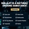 Shilajit Capsules – Premium Shilajit for Men – with Ashwagandha Ginseng and More Fulvic Acid for…