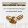 ELMNT 40,000mg 40x Strength Organic Black Maca Root + Ashwagandha – #1 Highest Potency Black…