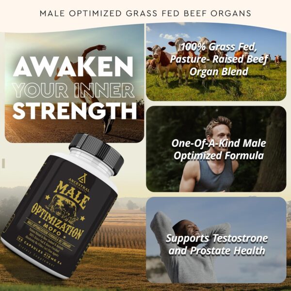 Ancestral Supplements Mofo, Supplements for Men, Support for Energy Levels and Overall Men’s…