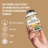 Organic Ashwagandha 2,100 mg – 100 Veggie Capsules Pure Organic Ashwagandha Powder and Root…