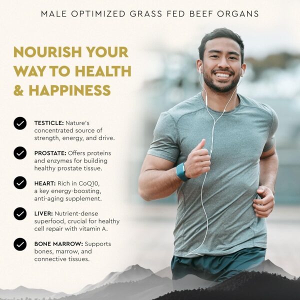 Ancestral Supplements Mofo, Supplements for Men, Support for Energy Levels and Overall Men’s…