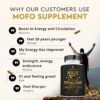 Ancestral Supplements Mofo, Supplements for Men, Support for Energy Levels and Overall Men’s…