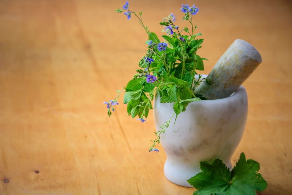 Exploring the Essence of Natural Remedies for Healthy Teeth